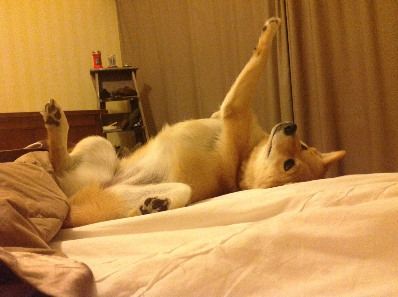 中超比赛落点传球与空档识别效率对比，掌握传球落点的基本要求